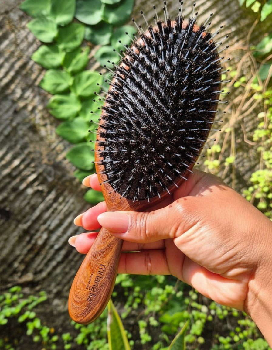 Sandalwood Massage Hair Brush